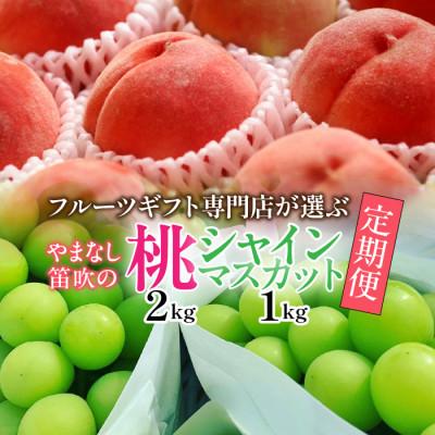 ふるさと納税 笛吹市 【発送月固定定期便】フルーツギフト専門店が選ぶ笛吹市の厳選フルーツ定期便　全2品種全2回