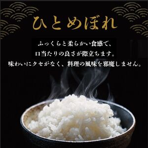 令和7年産新米 ひとめぼれ 20kg 米 亘理町産 精米 武田農園