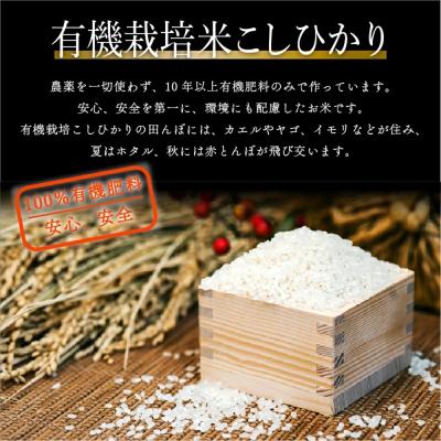 ふるさと納税 小松市 【有機JAS認定】有機栽培米 こしひかり10kg(5kg×2袋) 令和7年産 コシヒカリ 精米 白米 |  | 01