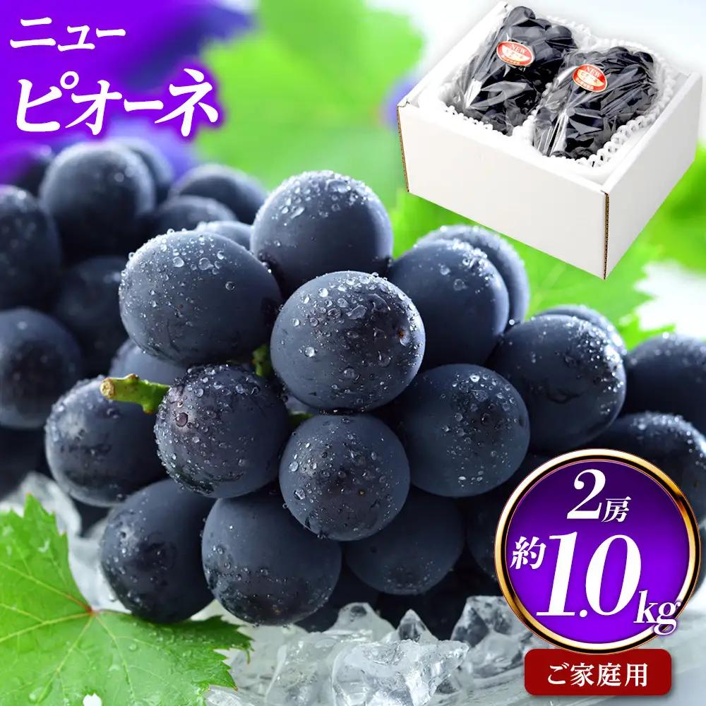ご家庭用 ニュー ピオーネ 約500g×2房 ｜ ピオーネ　
