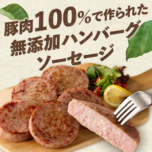 無添加ハンバーグソーセージ（100g×10パック入り）ウインナー  10パック バーベキュー キャンプ パーティー 手作り フランク オールポーク 豚肉100％ 天然腸 山梨県 白州 北杜市 [h03