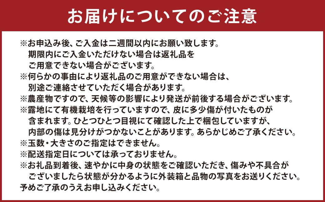 特別栽培不知火 3kg サイズミックス