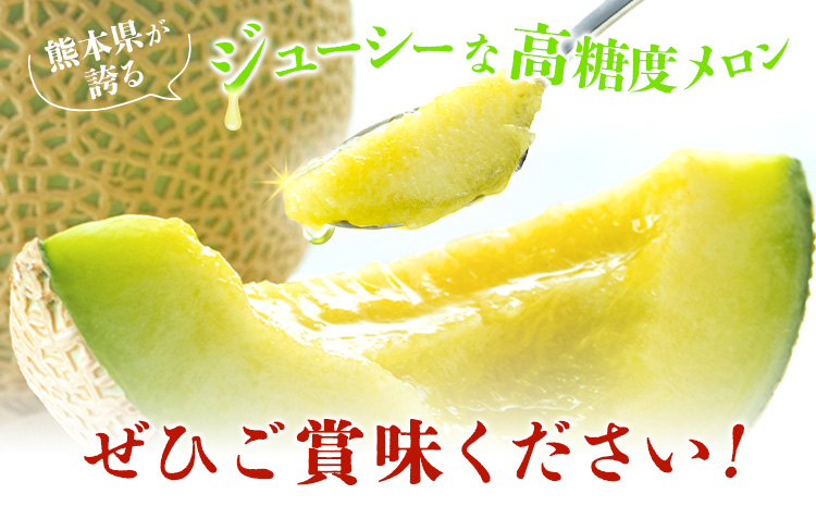 【先行予約】肥後グリーンメロン 4～6玉 約7kg 日本フルーツ株式会社《5月上旬-7月下旬頃出荷》熊本県 菊池市 メロン 熊本県産---308-5025---