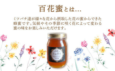 美濃蜂蜜 百花蜜 600g 【マンモスハウス合同会社】 はちみつ 非加熱 国産[TEW004]