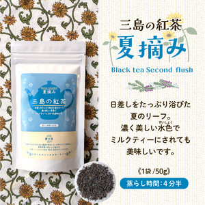 三島の紅茶 2種 飲み比べ 100g (50g×2) 茶葉 栽培期間中 農薬不使用