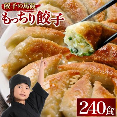 ふるさと納税 高鍋町 馬渡のもっちり餃子240個