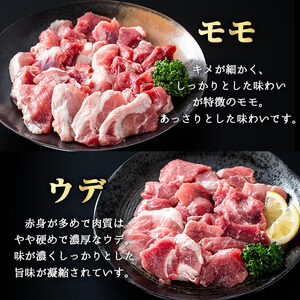 かごしま 味わい 黒豚 焼肉 ファミリーパック(合計2.4kg)【KNOT】A556