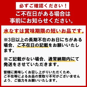 まるやま農園 泉州水なす ぬか漬け 10個入【087D-036】