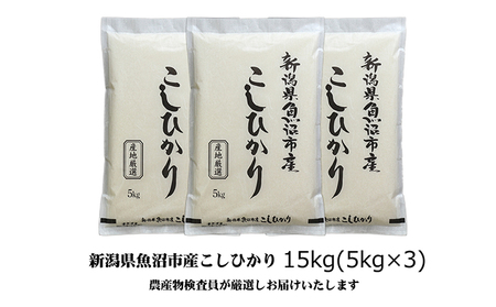 令和7年産 農産物検査員お奨め 魚沼産こしひかり（精米）15kg（5kg×3） お米 コシヒカリ 