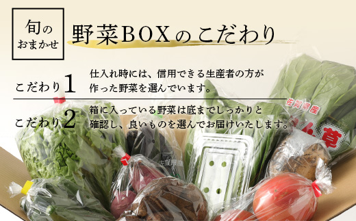 E-72 【６ヶ月お届け】旬のおまかせ野菜BOX定期便