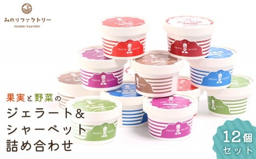 
            果実と野菜のジェラート&シャーベット詰め合わせ 12個セット(6種×各2個) | ジェラート シャーベット 地元 野菜 果物 手作り スイーツ クラフトアイス こだわり 枝豆 いちご ブルーベリー カフェラテ 塩スイーツ ご当地スイーツ お取り寄せ 宮城県 白石市 白石【14153】
          