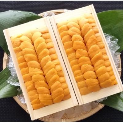 ふるさと納税 根室市 エゾバフンウニ140g×4折[2026年2月下旬以降発送]  E-40009