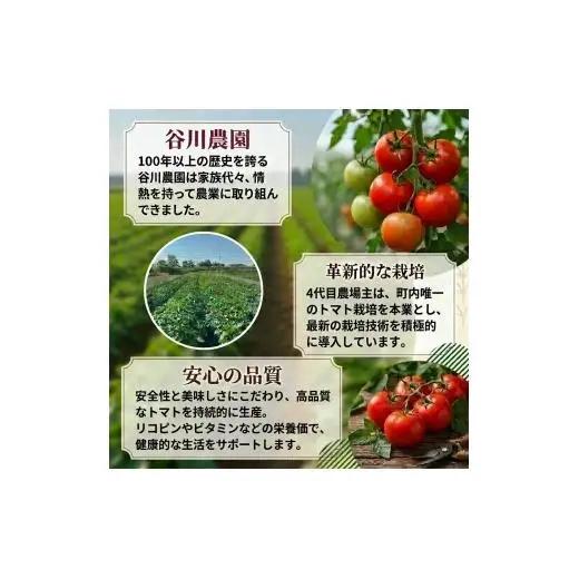 トマトジュース ＜3ヵ月毎定期便/全3回＞ 谷川農園 桃太郎トマトジュース 180ml×12本 《無添加》 北海道 安平町 【4001379】
