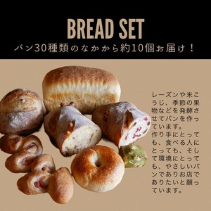 ロスパン詰め合わせセット（約10個）≪ロスパン 冷凍パン ベーグル 詰め合わせ 天然酵母 薪窯焼き フードロス 国産小麦≫