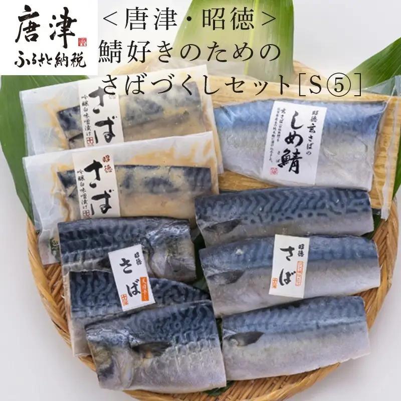 鯖好きのためのさばづくしセット 4種類9枚でお届けします 切身天日干し80g×3切 切身ひと塩仕立て80g×3切 吟醸味噌粕漬け80g×2切 しめ鯖130g×1枚