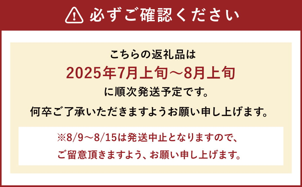 幸水梨 約3kg 5～8玉【2025年7月上旬～8月上旬発送】 ナシ 梨 果物 フルーツ 福岡県産