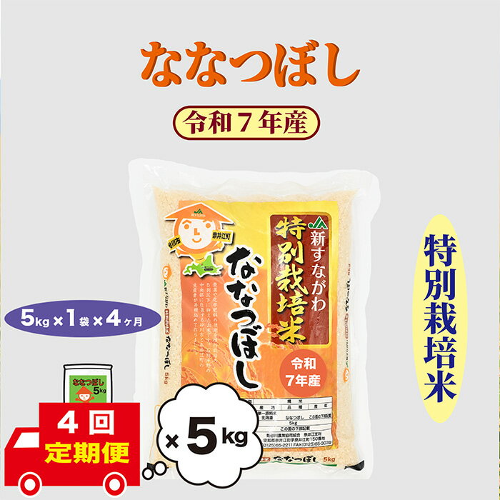 【ふるさと納税】【おコメ定期便】【新米】北海道奈井江町　特別栽培米　ななつぼし　【5～15kg】
