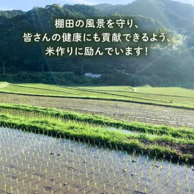 ふるさと納税 糸島市 【全6回定期便】 田縁米(でんえんまい)・瑞梅寺(ずいばいじ) 白米 5kg 米 [ATM007] |  | 03