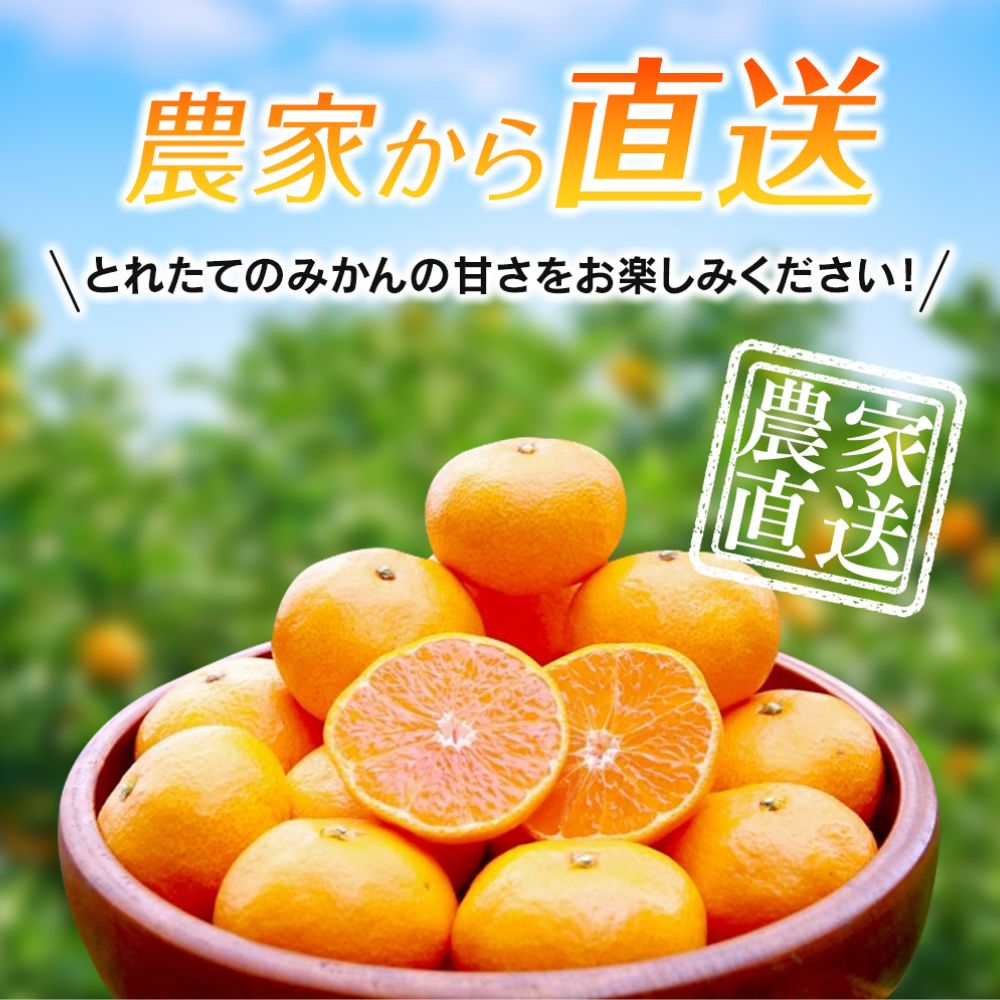【先行予約】完熟早生みかん　宮川早生５kg※2026年12月から順次発送予定※ 【期間限定・12/20まで】/ 和歌山県 ミカン フルーツ 果物 柑橘 田辺市 【nak006-1】