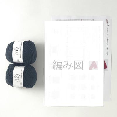 ふるさと納税 江南市 毛糸2玉で編めるケーブル模様のハンドウォーマーキット 18番色 |  | 01