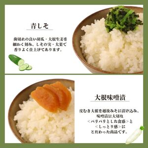 漬物 8点セット 漬物 漬物 漬物 漬物 漬物 漬物 sakuma002