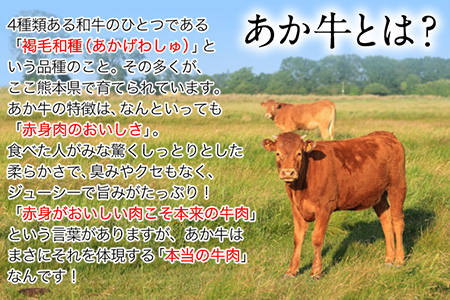 あか牛 焼き肉用 400g 肉のみやべ《120日以内に出荷予定(土日祝除く)》