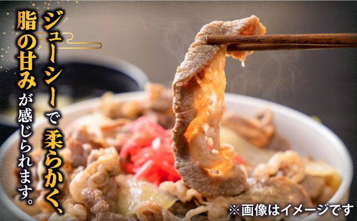 特撰 壱岐牛 切り落とし 550g《壱岐市》【土肥増商店】[JDD002] 肉 牛肉 和牛 切落し 赤身 小間切れ 12000 12000円