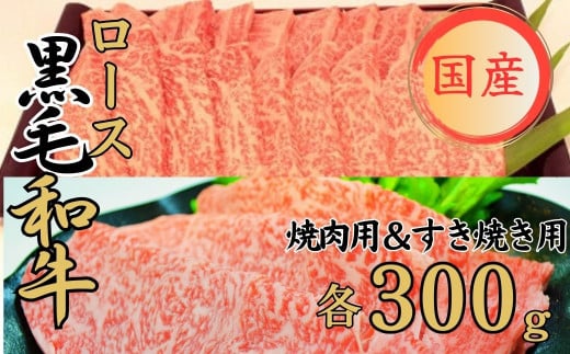 特選 くまもと黒毛和牛 ロース 600g （焼き肉用300g・すき焼き用300g） 食べ比べセット 熊本県産 球磨牛 焼肉 すき焼き くまもと黒毛和牛  冷凍