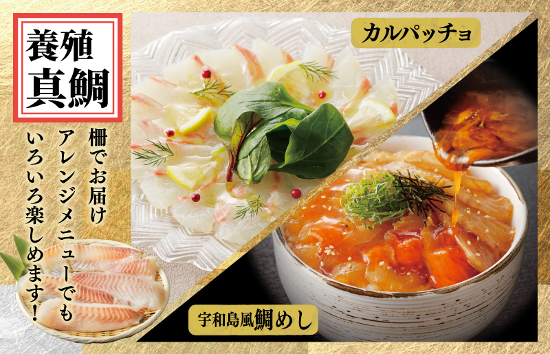 【南予ビージョイ】サーモン＆国産活〆 真鯛  お刺身セット【小分け 訳あり サイズ不揃い 刺身 海鮮丼 人気 オススメ 冷凍】 G1715