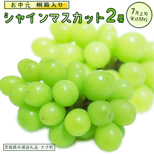 【 お中元 桐箱入り】 シャインマスカット ２房 【2026年7月上旬発送開始】(茨城県共通返礼品：大子町) ぶどう 葡萄 マスカット フルーツ 果物 贈答用 ギフト 贈り物