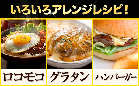 肉 ハンバーグ 温めるだけ 鉄板焼き 肉肉ハンバーグジャポネソース 150g 18個 《7-14営業日以内に出荷予定(土日祝除く)》熊本県 大津町 国産 牛肉 豚肉 鶏肉 ハンバーグ 温めるだけ 専門