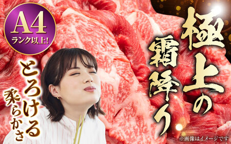 【全12回定期便】 熊本県産 A5等級 黒毛和牛 和王 モモ ステーキ 約150g×2P 計約3.6kg 牛肉 【帝神志方ミート 株式会社】[AYCH074]