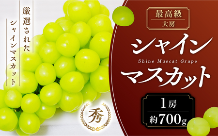 【2025年発送】 最高級 大房 シャインマスカット 1房 約700g 先行予約 先行 予約 山梨県産 産地直送 フルーツ 果物 くだもの ぶどう ブドウ 葡萄 シャイン シャインマスカット 新鮮 人気 おすすめ 国産 山梨 甲斐市 贈答 ギフト お取り寄せ 糖度18度～糖度20度 AN-127