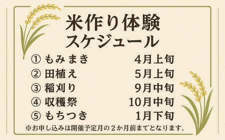 米作り体験コースD（もみまき、田植え、稲刈り、収穫祭参加） 米作り 手作業 無農薬 体験 お米 米 親子 イベント 自然 自然体験