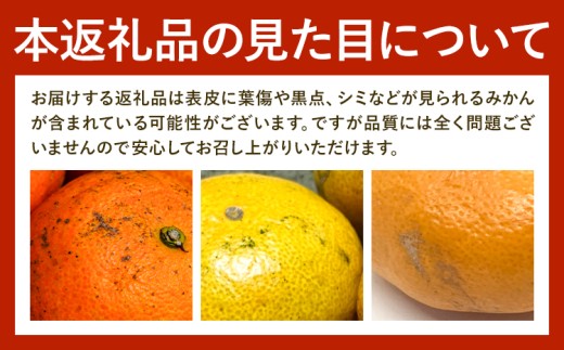 日高川町産みかん 約5kg 2S-M サイズおまかせ マル二《2026年10月中旬-11月末頃出荷》 和歌山県 日高川町 旬 新鮮 果物 柑橘 フルーツ 国産 送料無料 ミカン みかん