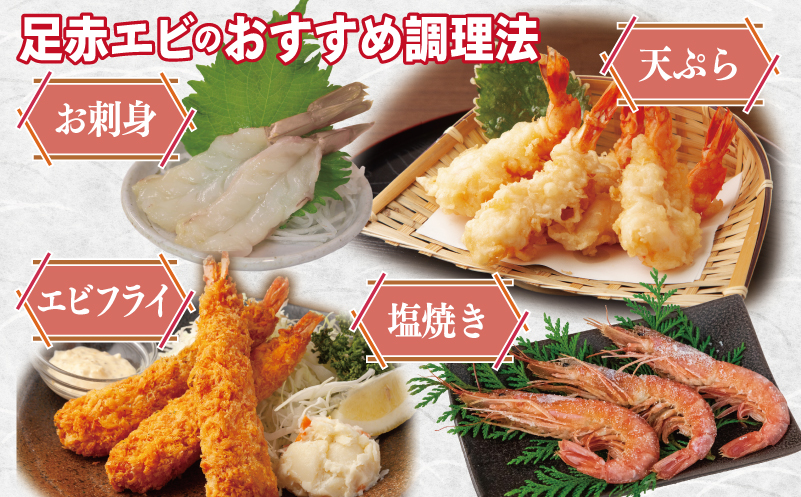 足赤エビ 500g+冷凍ボイルタコ 足のみ 合計1kg 計1.5kg【国産 天然 えび ぷりぷり たこ 刺身 海鮮 水揚げ 生食可】