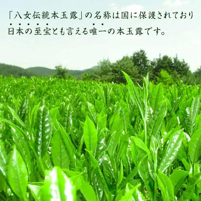 八女茶 奥八女星野村 伝統本玉露[50g]×2袋 [ABDF028] 八女茶