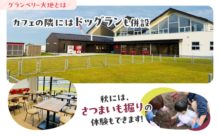 【訳あり】冷凍いちご　3kg (1kg×3袋)