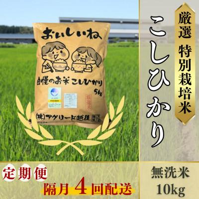 ふるさと納税 柏崎市 【2ヵ月毎定期便】無洗米コシヒカリ10kg◆大粒厳選◆厳選特別栽培米全4回