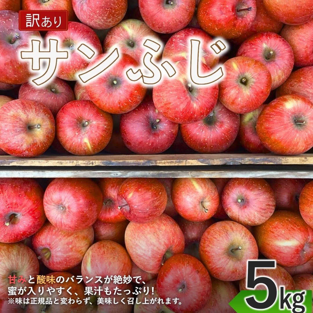 【ふるさと納税】【2025年先行予約】サンふじ りんご 家庭用 約5kg|林檎 蜜入り 果物 フルーツ サン ふじ 富士 5kg 訳あり 訳アリ 信州林檎 信州りんご 信州 長野 千曲市 送料無料