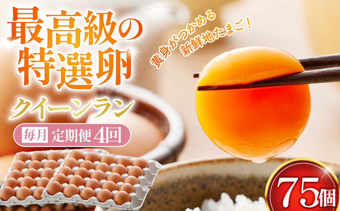 【毎月定期便】黄身がつかめる新鮮地たまご クイーンラン 赤玉 75個入り全4回