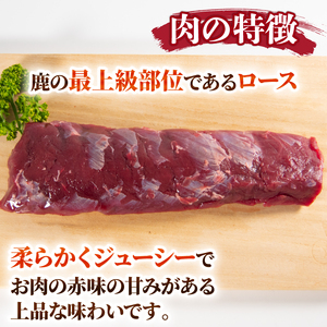 鹿肉 ロース 800g 冷凍 ジビエ