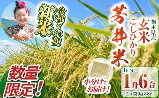【数量限定】【令和7年度新米先行予約】新米那珂川町産芳井米 玄米 330g（2合分）×8 | こしひかり 新米 米 ごはん  ふっくら もちもち  ふるさと納税 那珂川町 栃木県