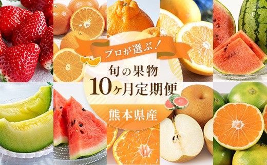 
                  【 10ヶ月定期便 】 プロが選ぶ！ 旬の果物定期便 くだもの 果物 フルーツ 果実 果汁 果肉 国産 熊本県産 定期配送 定期 旬の果物 旬 甘味 季節 【 2027年1月上旬～10月下旬発送予定 】
                