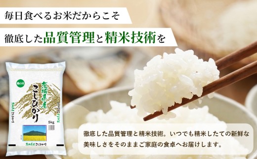 【令和8年産】茨城コシヒカリ 20㎏（5㎏×4袋）【精米】 | お米 米 こしひかり 茨城県産 白米 ブランド米 小分け
