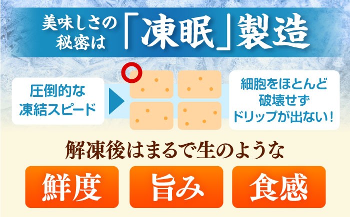 【ギフトBOX付き】福岡限定！はかた地どり水炊きセット 3～4人前 