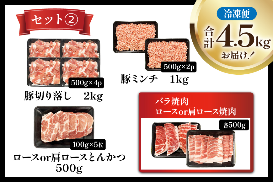 豚肉 宮崎県産 豚肉 選べる バラエティ セット2 合計4.5kg [南九フーズ 宮崎県 日向市 452061301-b] セット 切り落とし 小分け バラ こま切れ ロース 詰め合わせ ミンチ 豚ミ