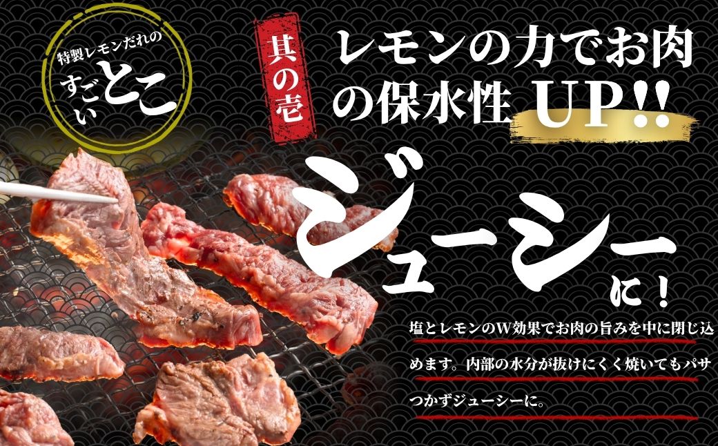 【瀬戸内レモン塩だれ】牛ハラミ 600g(300g×2パック) 尾野精肉店の牛ハラミ【肉 訳あり 小分け 真空パック 冷凍 牛肉 ハラミ 味付き 焼肉 BBQ 広島県 竹原市】