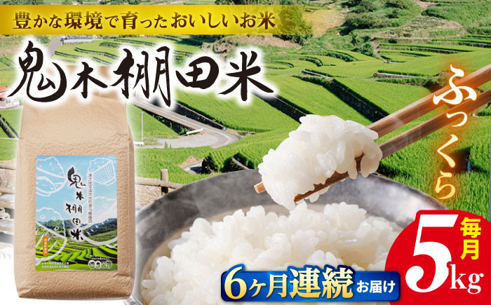 
【令和6年度新米】【全6回定期便】鬼木 棚田米 5kg 鬼木の棚田 米【原田製茶】 [GA19]
