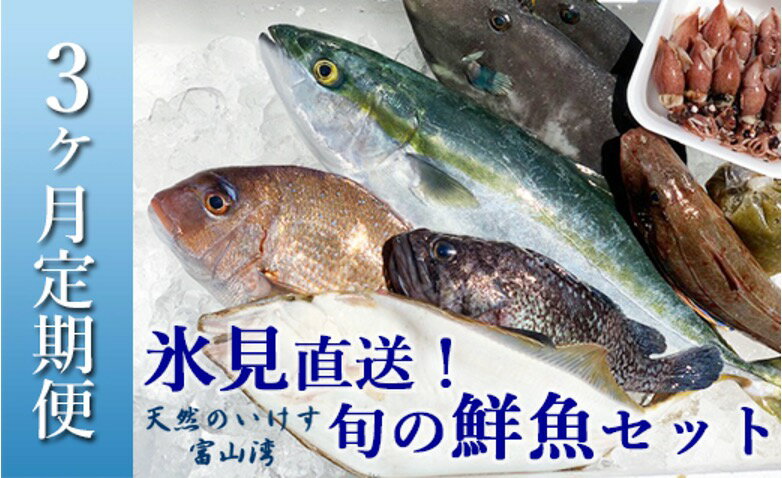 【ふるさと納税】〈3ヶ月定期便〉天然のいけす 富山湾 氷見漁港直送！ 旬の鮮魚セット 〈配送地域限定〉